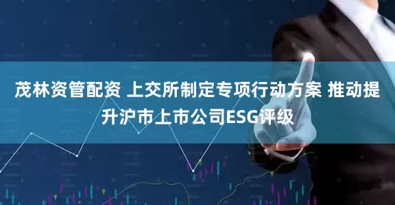 茂林资管配资 上交所制定专项行动方案 推动提升沪市上市公司ESG评级