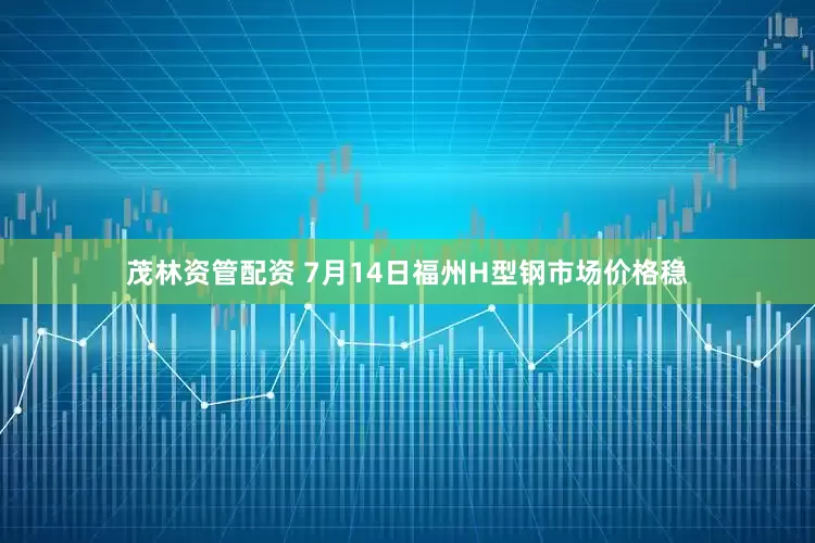 茂林资管配资 7月14日福州H型钢市场价格稳