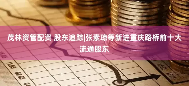 茂林资管配资 股东追踪|张素琼等新进重庆路桥前十大流通股东